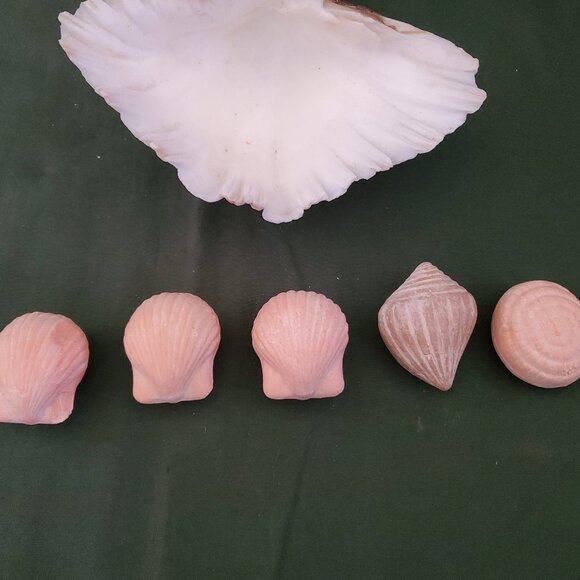 Extra Large Sandy Clam Shell with 5 Small Decorative Seashell Soaps - Picture 11 of 14